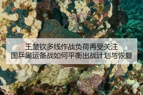 wang-chu-qin-duo-xian-zuo-zhan-fu-he-zai-shou-guan-zhu-guo-ping-ao-yun-bei-zhan-ru-he-ping-heng-chu-zhan-ji-hua-yu-hui-1-966.jpg