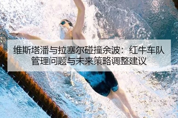 wei-si-ta-pan-yu-la-sai-er-peng-zhuang-yu-bo-hong-niu-che-dui-guan-li-wen-ti-yu-wei-lai-ce-lve-tiao-zheng-jian-yi-1-272.jpg
